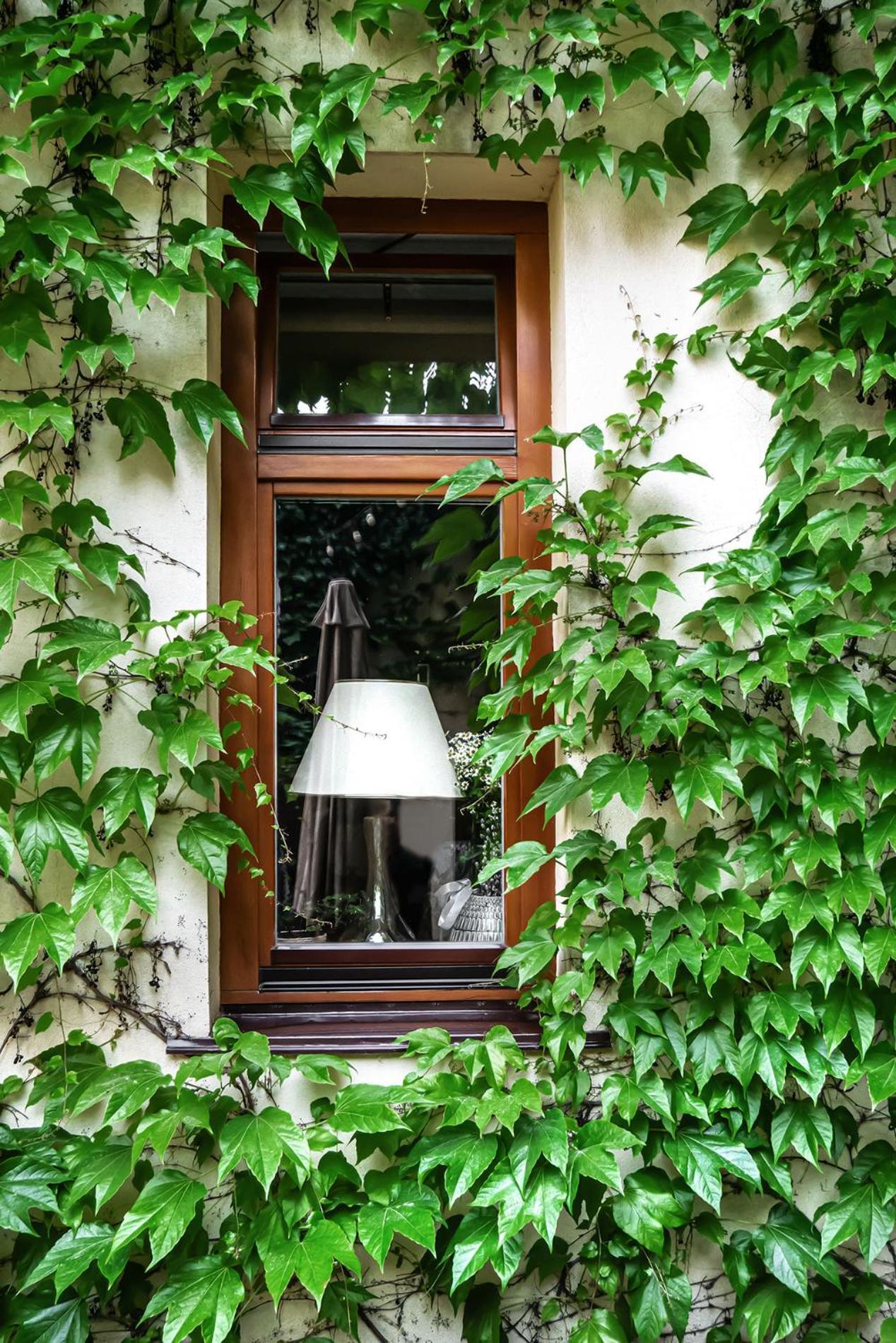 Shato Luxe Odesa Exterior foto